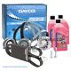 Kit Courroie De Distribution Pompe à Eau Services Pour Vw Golf V Plus Touran 1.9